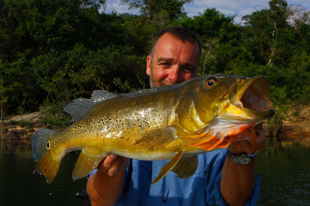 Cliente mostrando o peixe tucunaré que ele pescou durante pescaria no rio Xingu