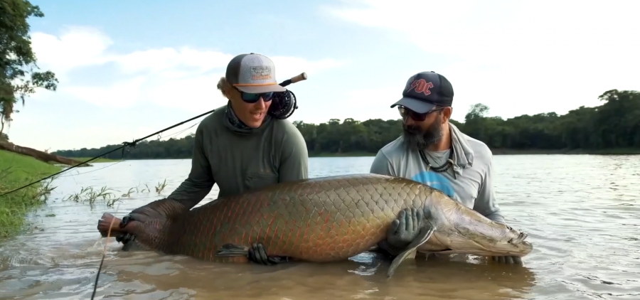 Clientes pescando pirarucu / Customers fishing Arapaima in Brazil