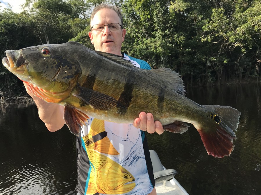 Aventuras de pesca na Amazonia / Amazon fishing adventures