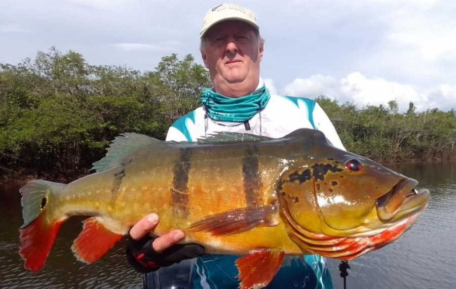 Amazon Xplor