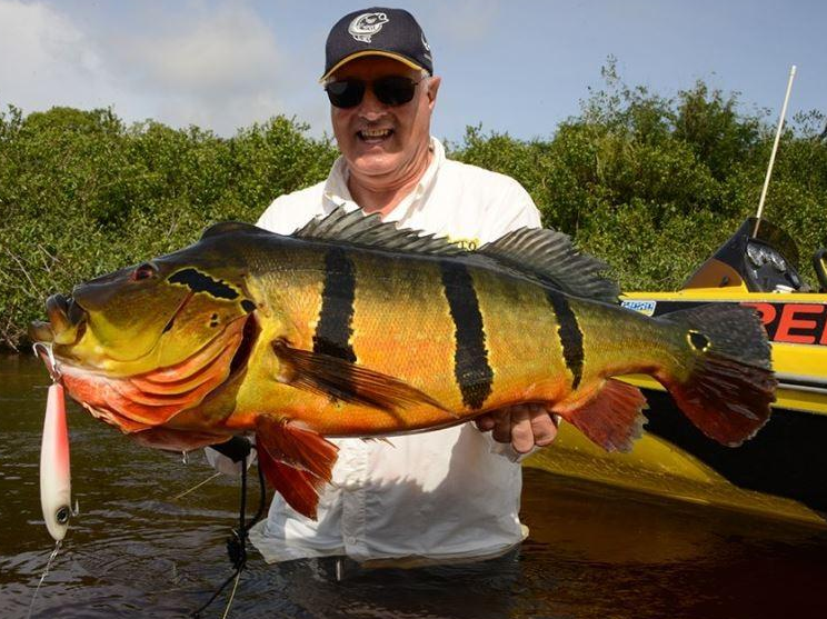 Amazon Xplor